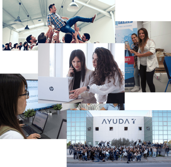 Mosaico de la Escuela de Asesores